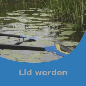 card-lidworden-1